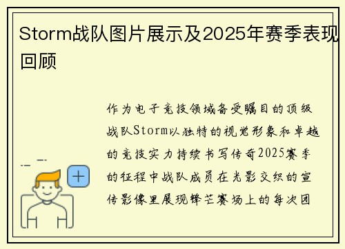 Storm战队图片展示及2025年赛季表现回顾