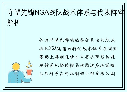 守望先锋NGA战队战术体系与代表阵容解析